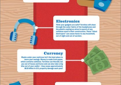 Will They Eat It Season 1 Infographic